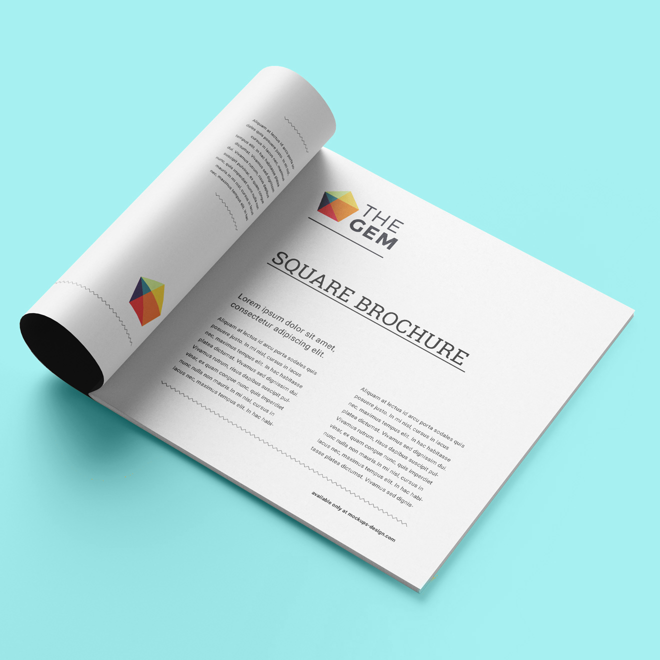 Demo Projest Categori 2